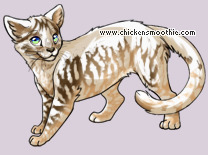 Pet