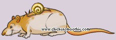 Pet