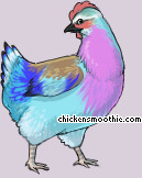 Pet