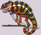 Pet