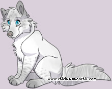 Pet