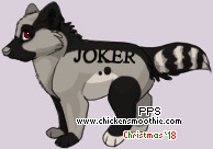 Pet