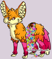 Pet