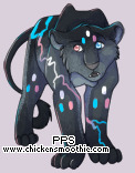 Pet