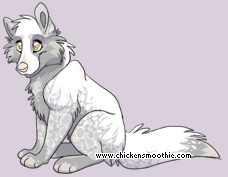 Pet