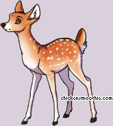 Pet