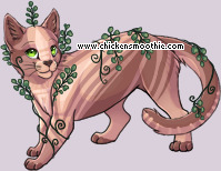 Pet