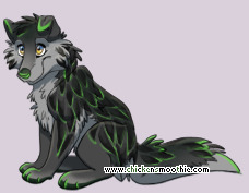 Pet