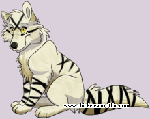 Pet