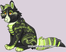 Pet