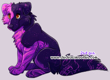 Pet