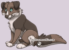 Pet