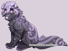 Pet