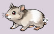 Pet
