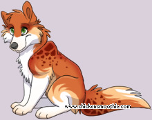 Pet