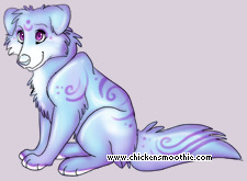 Pet