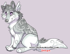 Pet