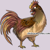 Pet