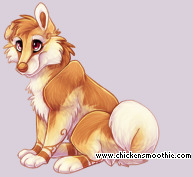Pet