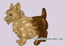 Pet