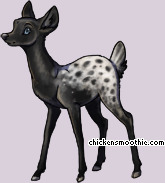 Pet