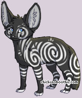 Pet