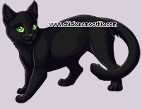 Pet