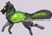 Pet