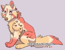 Pet