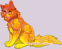 Pet