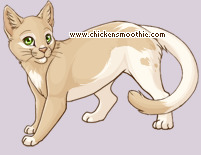 Pet