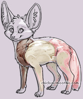 Pet