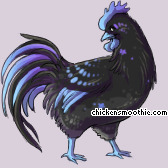 Pet