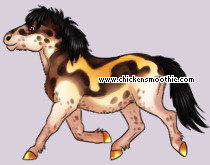 Pet