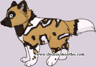 Pet