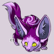 Pet