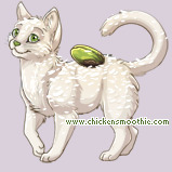 Pet