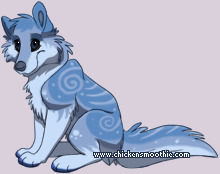 Pet