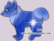 Pet