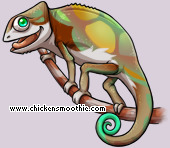 Pet