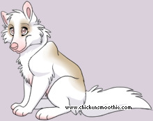 Pet
