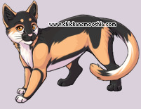 Pet