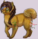 Pet