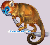 Pet