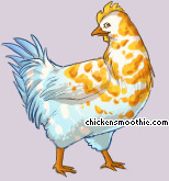 Pet