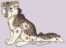 Pet