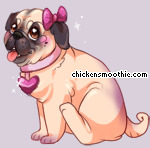 Pet