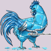 Pet