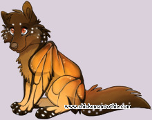 Pet