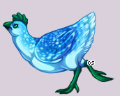 Pet